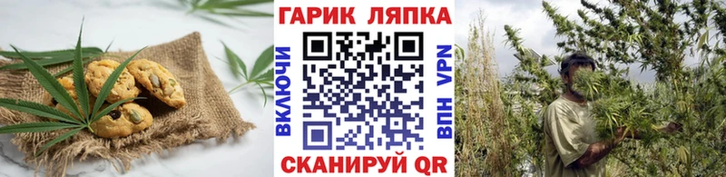 Cannafood конопля  Карабулак 