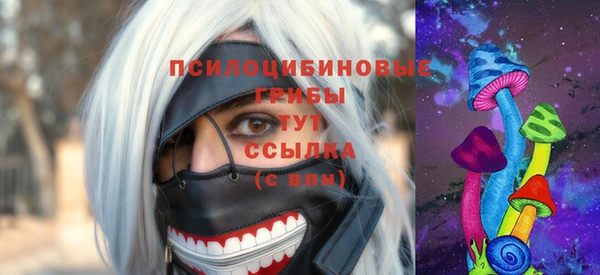 СК Арсеньев