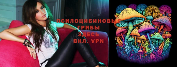 a pvp Аркадак