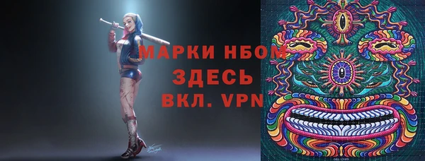ПСИЛОЦИБИНОВЫЕ ГРИБЫ Баксан