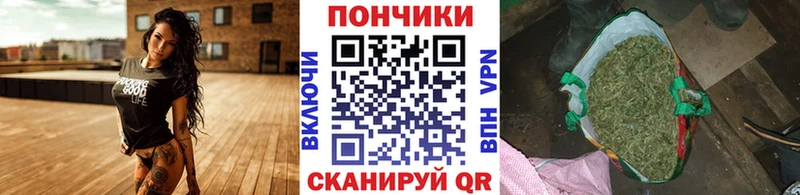 Канабис планчик Карабулак